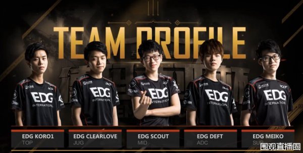 森林队就像 森林队就像